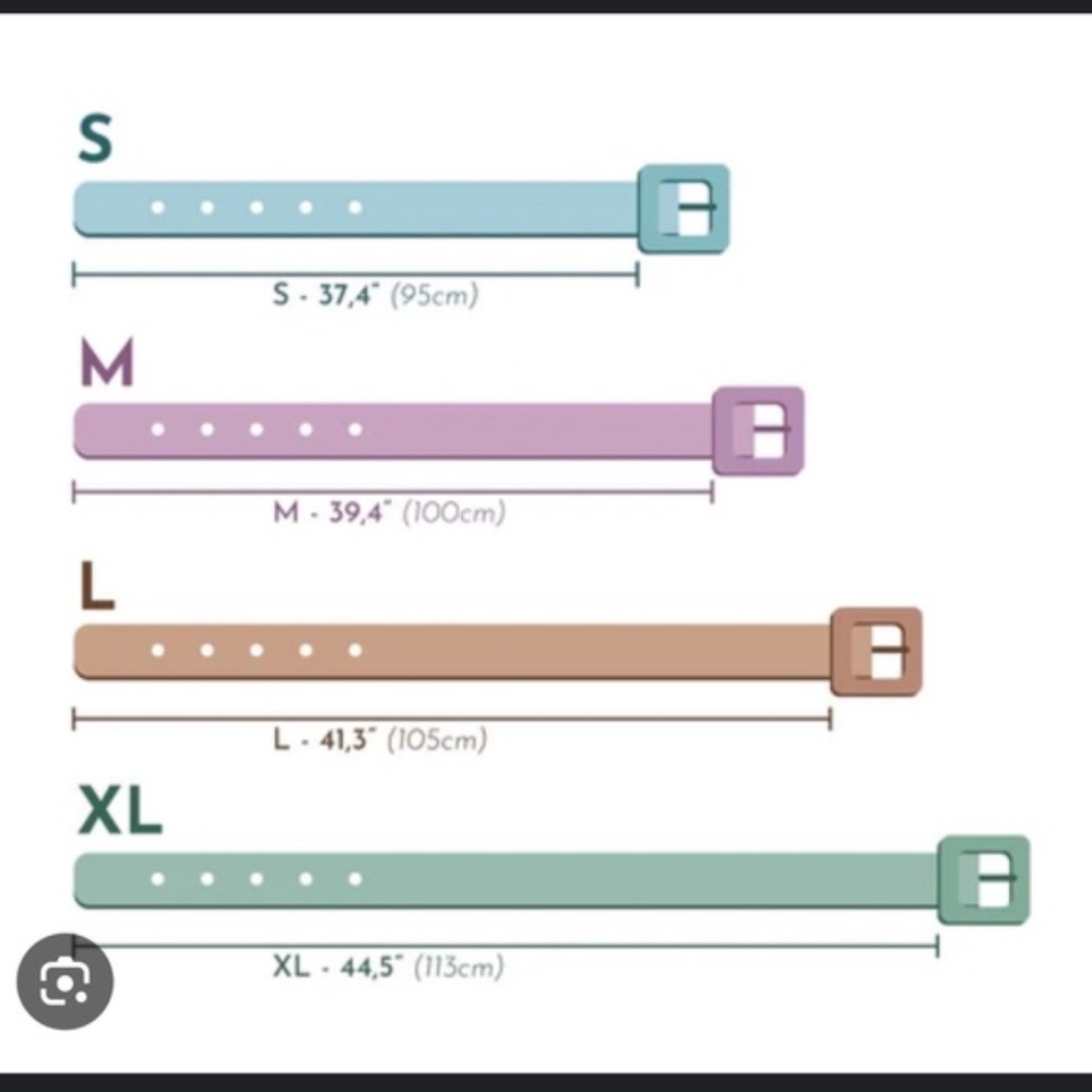 Double loop belt - Picture 3 of 4